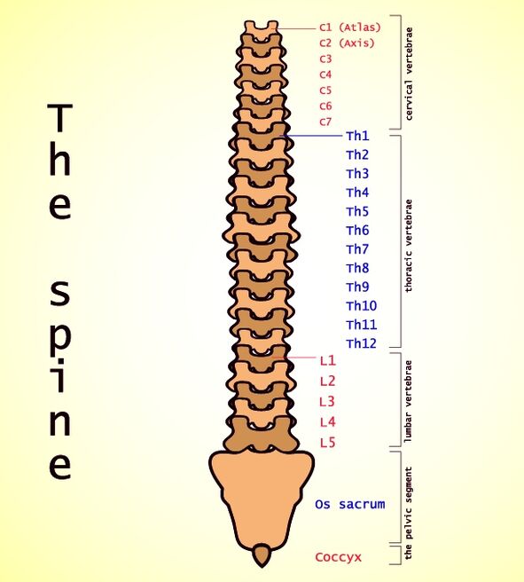 osteocondrosis lumbar