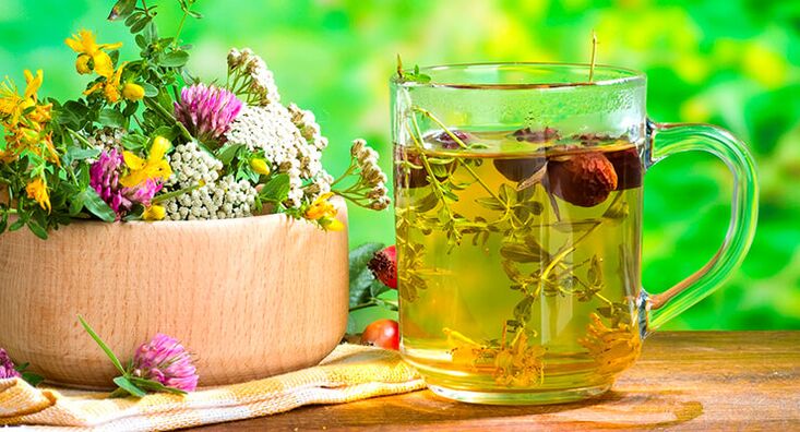 Té de hierbas para el tratamiento de la artrosis de cadera.